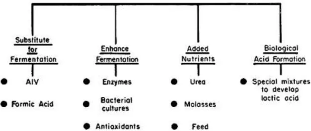 Fig. 12 - Os conservantes ou aditivos são produtos complementares, de natureza variada