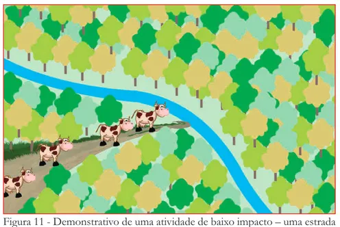 Figura 11 - Demonstrativo de uma atividade de baixo impacto – uma estrada  aberta para dessedentação animal  (Crédito: Yocaly Evelin Santos Dutra da  Silva).
