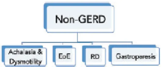 Figura 3 – Causas de sintomas de refluxo gastroesofágico refratário não-DRGE (25)