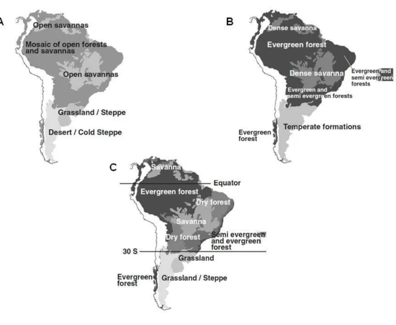 Figura  2.  Representação  da  formação  vegetacional  da  América  do  Sul  durante  (A)  o  Último  Máximo  Glacial  (entre  25.000  e  13.000  anos  atrás),  com  uma  provável  retração  das  florestas  úmidas  e  expansão  de  um  mosaico  de  florest