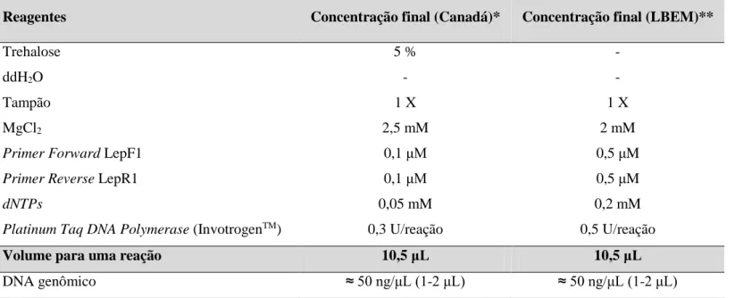 Tabela  3.  Reagentes  utilizados  na  PCR  para  amplificação  do  gene  mitocondrial  COI  das  amostras  enviadas  para  o  Biodiversity Institute of Ontario (Canadá) e aquelas amplificadas no LBEM/UFMG