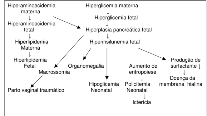 FIGURA 1 – Doença fetal e neonatal de gestantes diabéticas. 