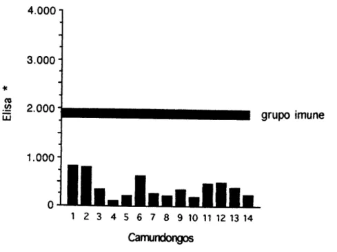 Figura 3 - Efeito de pré-tratamento orai por ingestão voluntária em ramnndongos  jovens 9Qbre a produção de anticorpos anti-Ova