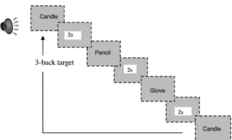 Figure 1. Presentation of items.