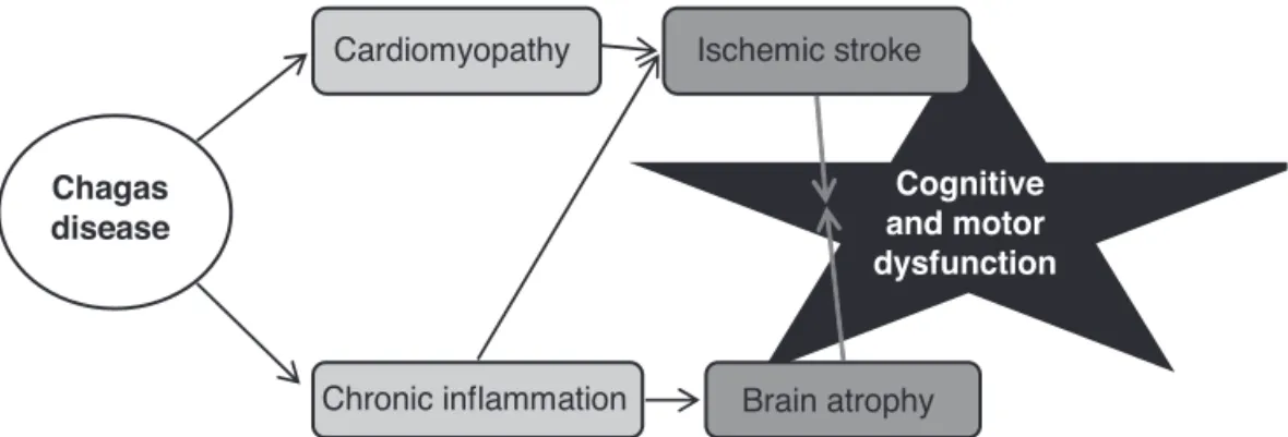 Figure 1. Proposed theory for brain dysfunction in Chagas disease. Chagas disease causes both structural  heart damage and chronic activation of the immune system, mostly by Th1-type cytokines