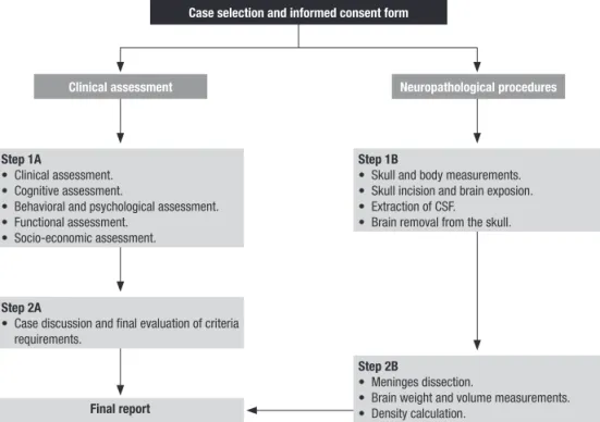 Figure 1. Flowchart of the BBBABSG. São Paulo, 2010.
