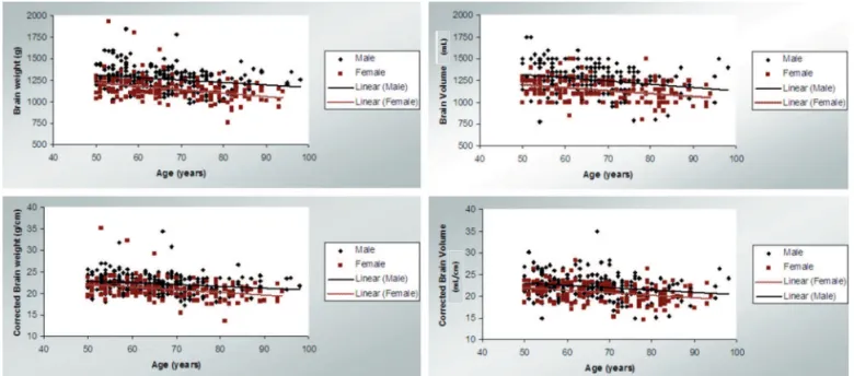 Figure 4. Distribution of brain density during aging, according to  gender.