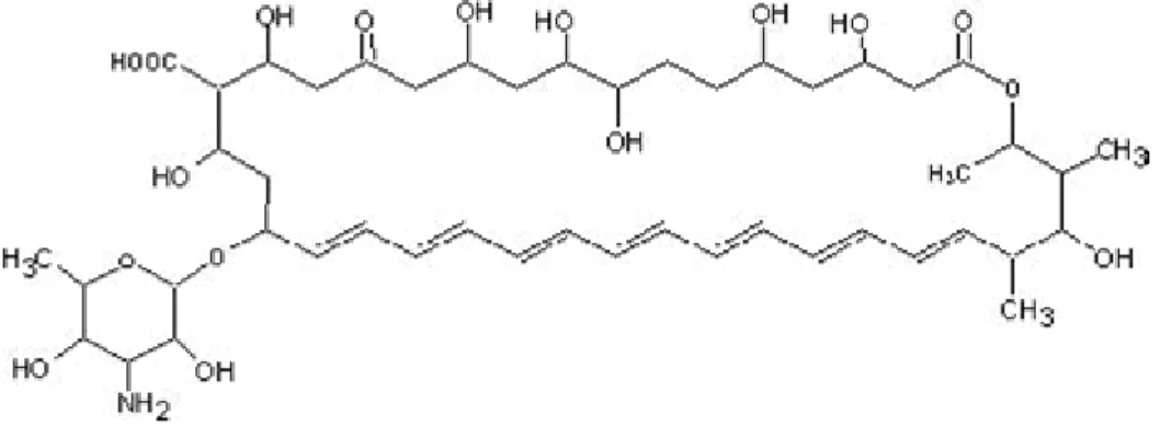 Figura 4 - Fórmula estrutural da anfotericina B desoxicolato. 
