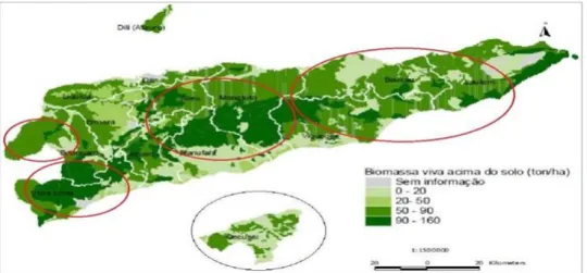 Figura 7: Distribuição de P. indicus em Timor (PED-TL-2011-2030, 2011). 