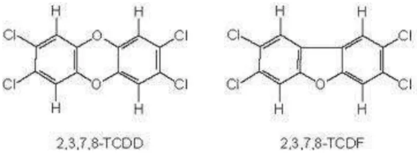 FIGURA 4: Estrutura molecular de 2,3,7,8-Tetraclorodibenzo-p-dioxina (TCDD) e 2,3,7,8-