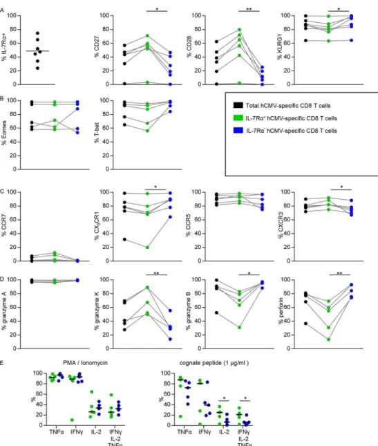 Figure 1 - Flow cytometric analysis of total, IL-7Rα-expressing, and IL-7Rα −  hCMV-specific CD8 +  T cells