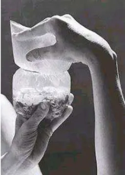 Figura 4  –.”Água e conchas”,1966 – Objetos sensoriais  