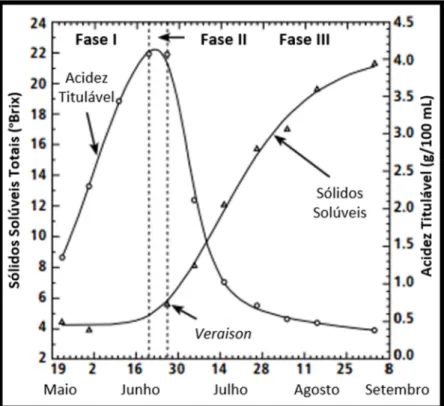 Figura 2 - Alterações nos sólidos solúveis totais (°Brix) e acidez titulável de uva 