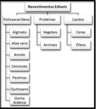 Figura 13 - Componentes mais utilizados no revestimento  de  frutos  frescos:  polissacarídeos,  proteínas  e  lípidos  (adaptado de Ortiz et al., 2014; Serrano et al., 2015;)
