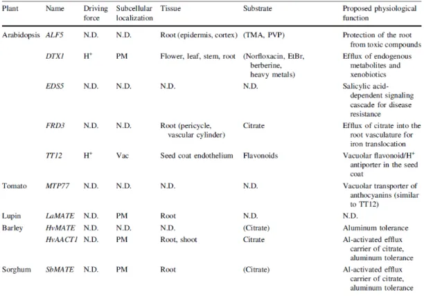 Table I.1 - Properties of plant MATE-type transporters. From Yazaki, Sugiyama et al. (2007).