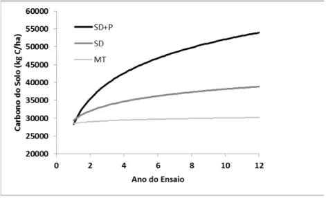 Figura 2: Evolução do carbono orgânico do solo, na camada de 0 a 30 cm, de um solo Pm