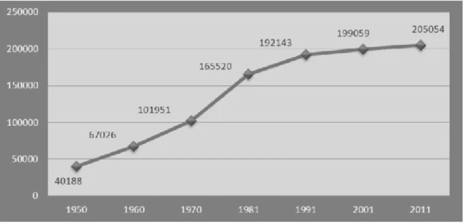 Gráfico n.º 1 