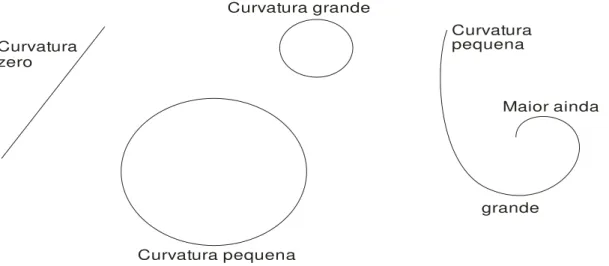 Figura 24: Tipos de curvatura.