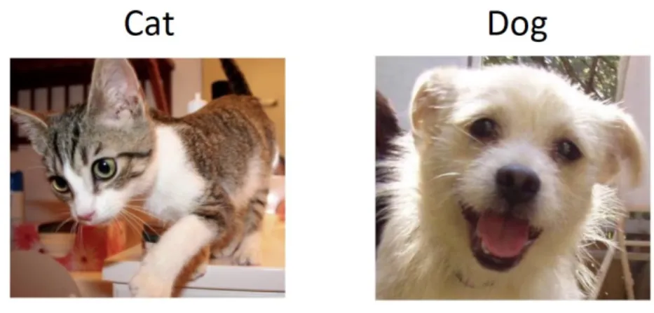 Figure 2.1: Example of images labeled with classes 2.1.2 Software for data processing
