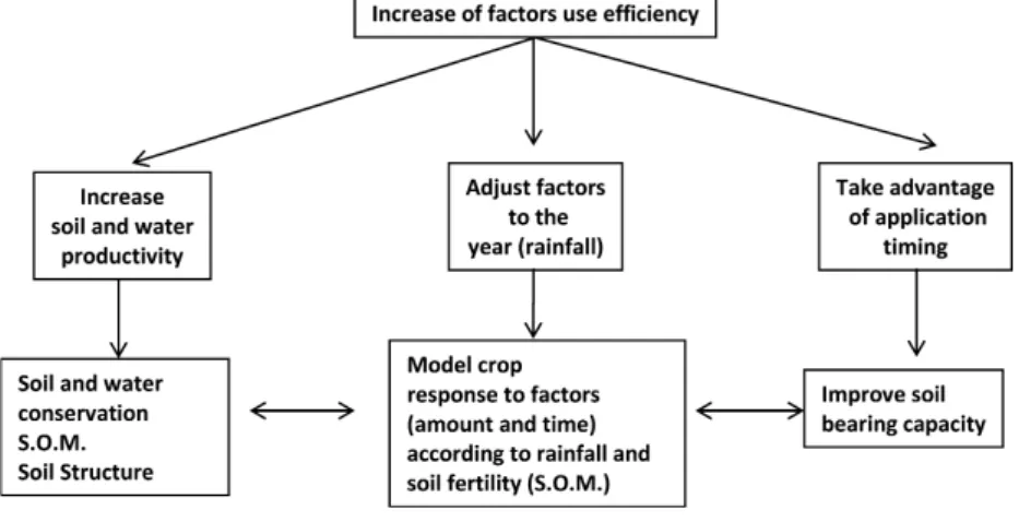 Fig. 2 Effect of soil tillage on the runoff and soil loss by erosion during a wheat crop in  Evora, Portugal