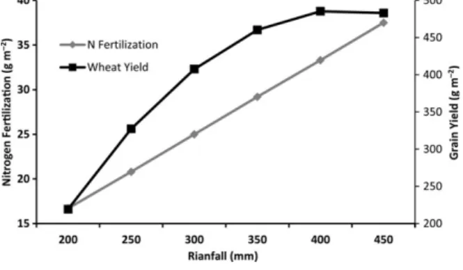 Fig. 7 Influence of winter rainfall on nitrogen fertilization for maximum yield and on achieved yield, according to the data presented in Figure 9 (Carvalho and Basch 1996).