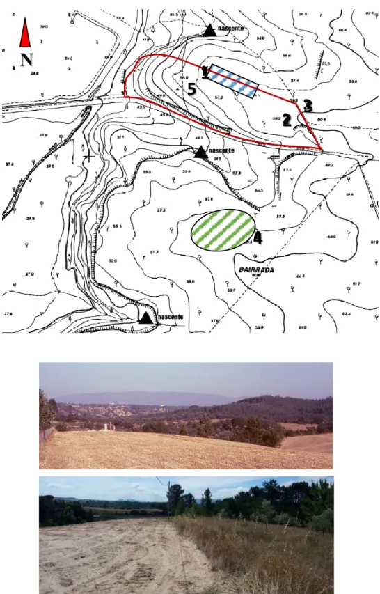 Figura 2 – Em cima: localização do sítio na Carta Cadastral do Concelho de Torres Novas (à escala 1:2.000  com  redução  de  70%):  1)  Área  de  escavação;  2  e  3)  Zona  sondada  em  1989;  4)  Sítio  Arqueológico  da  Bairrada; 5) Extensão aproximada 