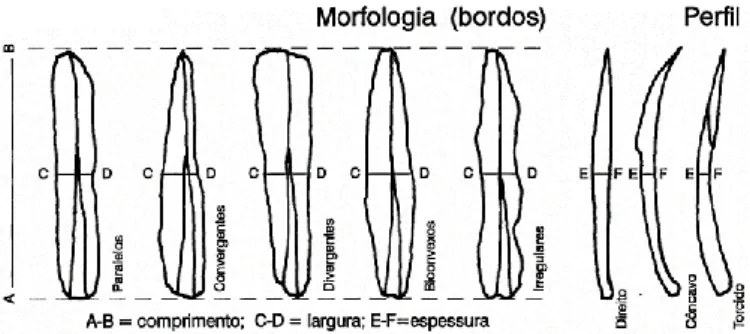 Figura 8 – Morfologia do perfil longitudinal e dos bordos dos produtos alongados e respectivas medidas  (Zilhão, 1997, vol