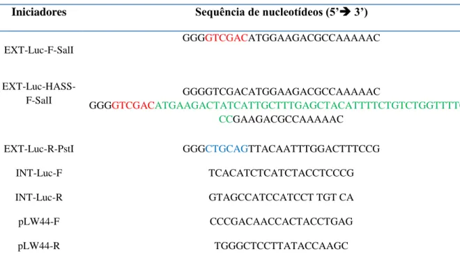 TABELA 1  – Iniciadores e suas respectivas sequências para amplificação do gene da  Luciferase e ou analise do inserto