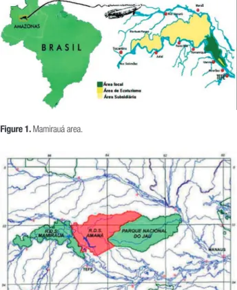 Figure 1. Mamirauá area.