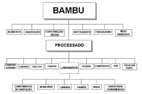 Figura 8: Possibilidades do uso do bambu (Fonte: BERALDO e PEREIRA, 2007, p. 155).