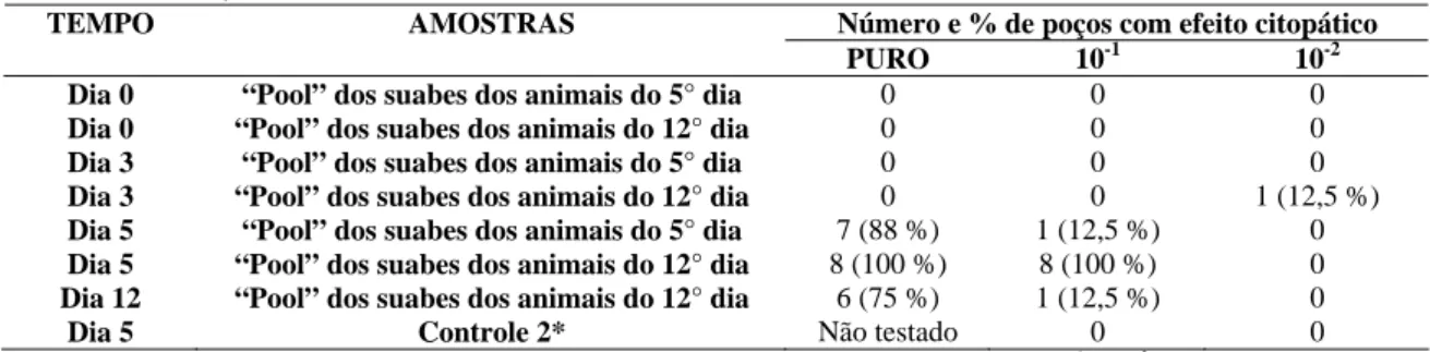 Tabela 12. Titulação viral dos suabes nasais de coelhos infectados com o isolado Mutum de BoHV-5,  Belo Horizonte, 2008