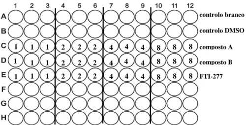 Figura  2.2:  Esquema  da  placa  multiwell  de  96  poços.  Linha  A  corresponde  ao  controlo  em  branco  (apenas  contêm  o  meio  RPMI)