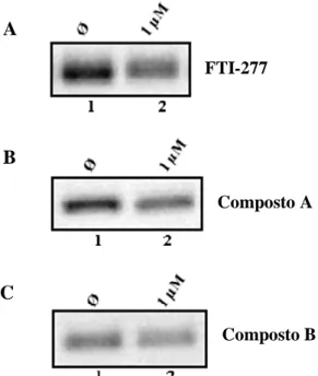 Figura 3.6: Influência de FTI-277 (painel A) e dos compostos A (painel B) e B (painel C) nos níveis  de  expressão  do  transcrito  de  STAT3