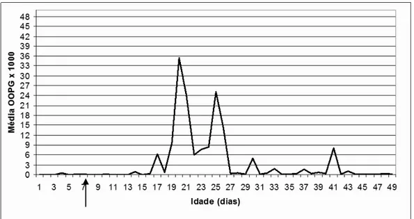Gráfico  3  -  Variação  diária  da  contagem  média  do  número  de  oocistos  de  Eimeria  sp