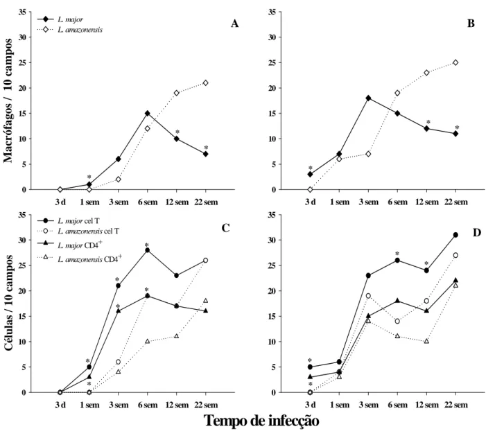 Figura  9:  Comparação  da  cinética  de  células  T  (círculo),  células  T  CD4 +   (triângulo)  e  macrófagos (losango) em camundongos infectados com 10 3  (A, C) ou 10 6  (B, D) L