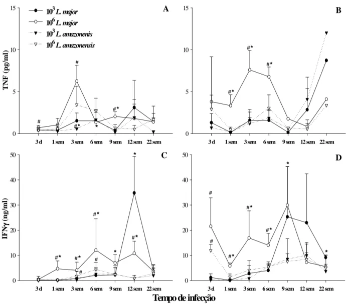 Figura 10: Produção das citocinas TNF e IFN- γ  durante o curso de infecção de camundongos  C57BL/6  infectados  intradermicamente  na  orelha  com  10 3   ou  10 6   parasitos  das  espécies  L