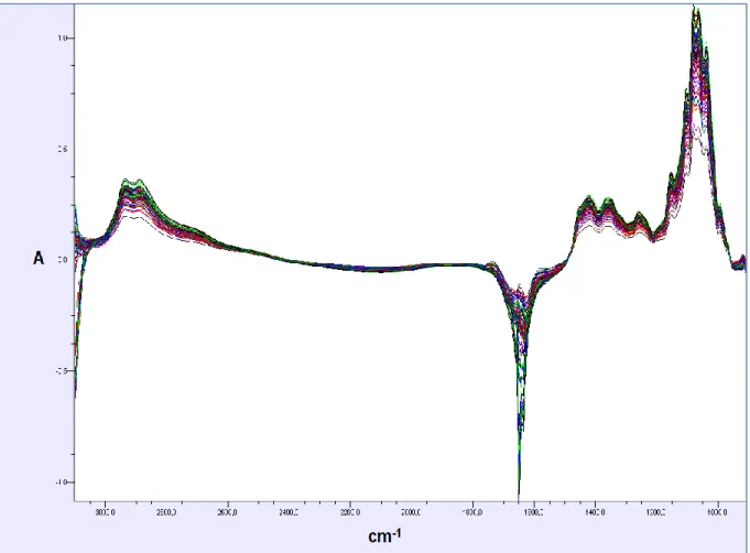 Figura  8  –  Espectro  das  117  amostras  de  mosto  de  uva  obtido  no  Software  Bacchus  Quantification