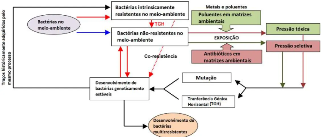 Figura 1.6 – Multirresistência em bactérias acelerada pela presença de antibióticos em baixas concentrações no ambiente [1] 