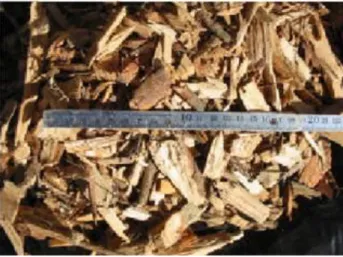 Figura  7.  Uma  das  formas  de  apresentação  de  biomassa  florestal  é  na  forma  de  pellets  (Fonte: http://imagenes.acambiode.com/img-bbdd/pelete2.gif )