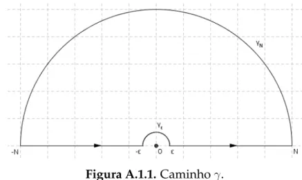 Figura A.1.1. Caminho γ.