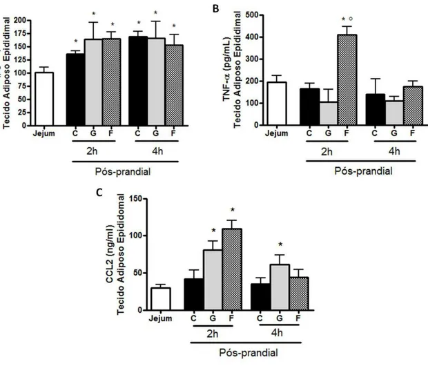 Figura 7 - Concentração de IL-6, TNF- α e CCL2 no tecido adiposo epididimal de animais em jejum  e  duas  e  quatro  horas  pós-prandiais