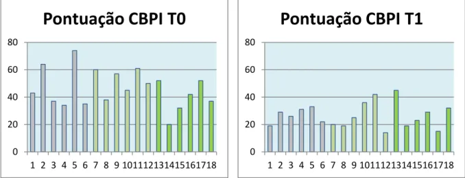 Gráfico  8  –  Gráfico  de  barras  ilustrativo  da  pontuação  obtida  na  escala  de  dor  CBPI  aquando da primeira avaliação do animal (T0)