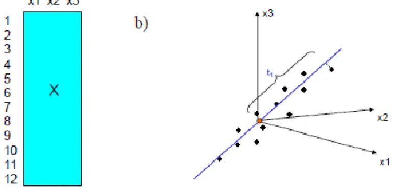 Figura 6 - Interpretação gráfica de um modelo de PCA consistindo de  um PC: a) Dados do conjunto  composto por doze objetos e três variáveis, b) uma interpretação geométrica do PC calculado a partir  do conjunto de dados (Adaptado de Wiberg, 2004)
