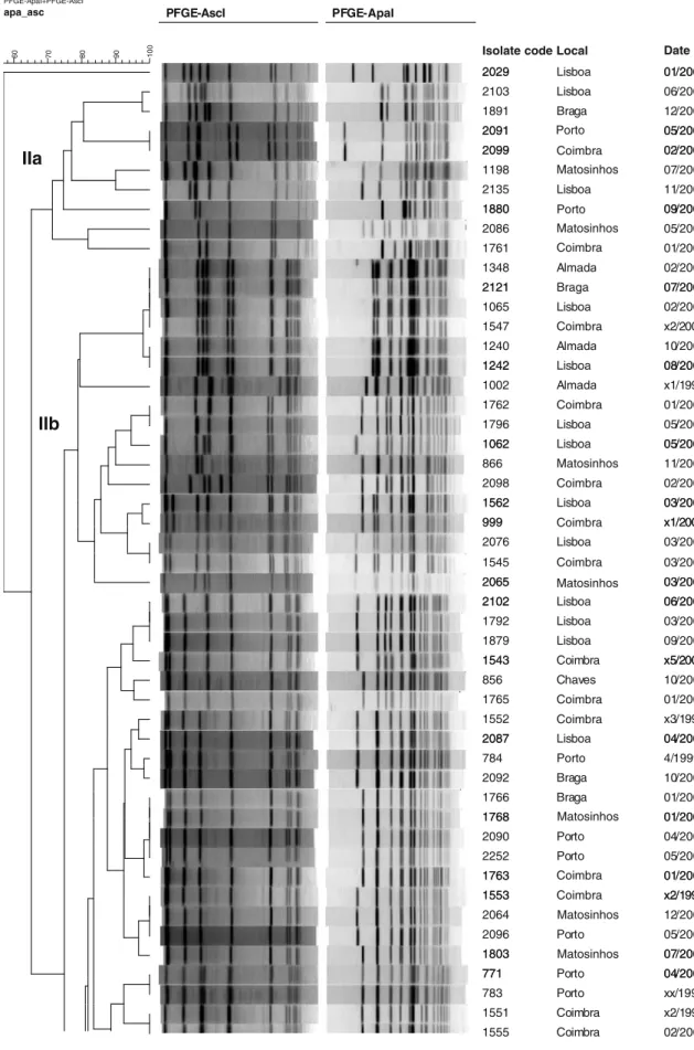 Fig. 1 Dendrogram for Listeria monocytogenes pulsotypes of all 95 isolates obtained from clinical cases, Portugal, 1994 – 2007