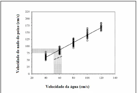 FIGURA  2.43-  Equação  linear  da  velocidade  de  nado  do  peixe  em  função da velocidade máxima do escoamento