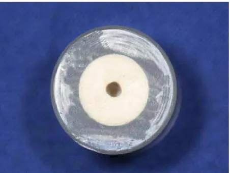 FIGURA 5 - Vista superior do bloco de resina acrílica e conduto em resina  composta  