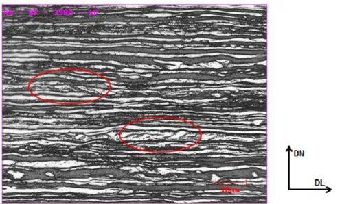 Figura 5.11: Micrografia da região central da bobina laminada a frio com redução de  62% do AID S32304: Bandas de cisalhamento (círculo vermelho)
