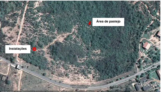 FIGURA 1 – Imagem da área de estudo, 2010  Fonte: Google Earth 1
