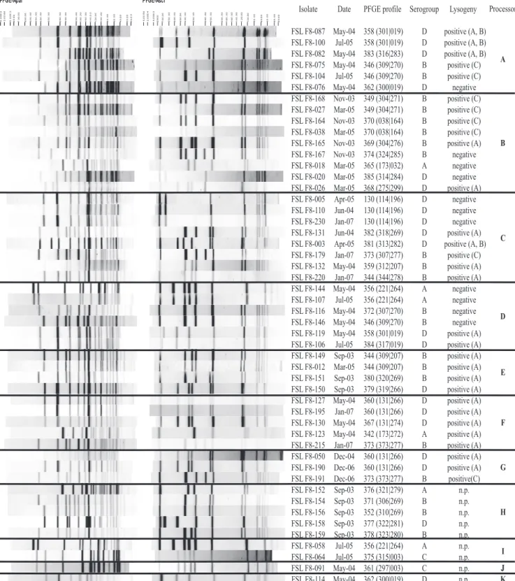 FIG. 1. ApaI and AscI PFGE restriction patterns for selected L. monocytogenes isolates obtained from processors A to K