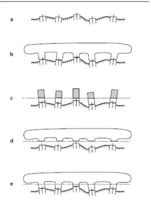 Figura 1 - Método Cresco-Ti. (a) Modelo mestre com análogos; (b) Estrutura confeccionada é fixada 